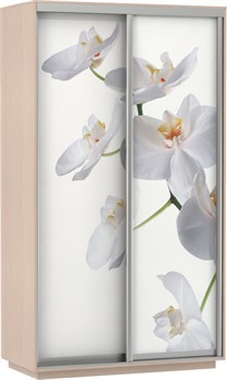 Шкаф-купе 2х дв с фотопечатью Орхидея Белая - фото 10158